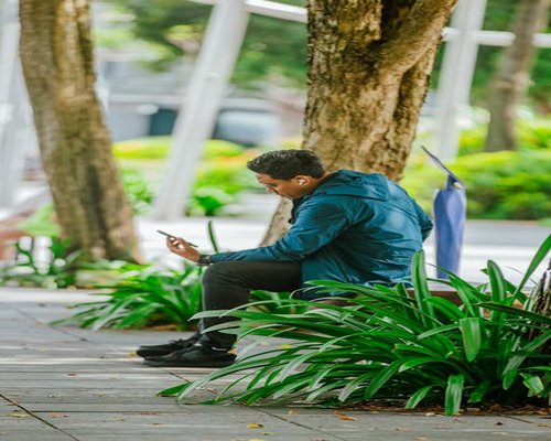 A green urban park environment in Colombia where people enjoy outdoor relaxation away from digital displays